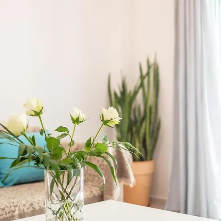 Agatha's Flat - Corfu Town * Corfu (city)